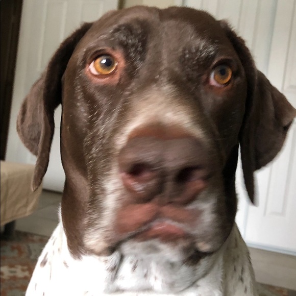 Meet your Posher, Miriam - Picture 1 of 1